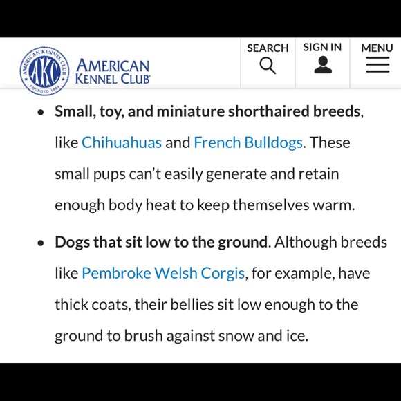 Does Your Dog Need a Winter Coat? ❄️🐶❄️🐶❄️🐶 - Picture 3 of 5